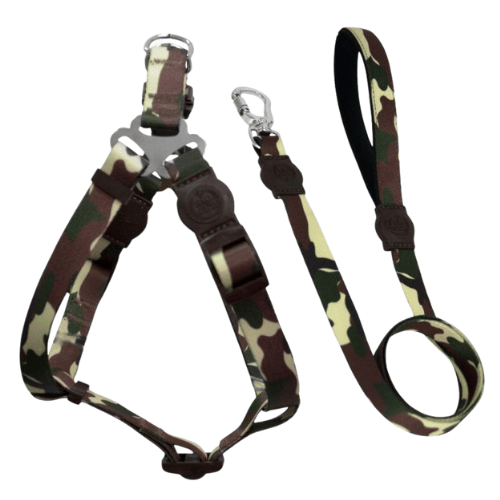 Conjunto Peitoral e Guia Selva M Verde